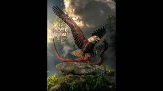 Download lagu Paramasivan kaluthil irunthu Tamil whatsapp status mp3