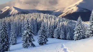 ** Nature Boy **      -    Played by Acker Bilk