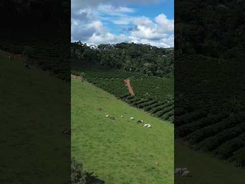 Santa margarida mg #interior #drone #djibrasil #minasgerais