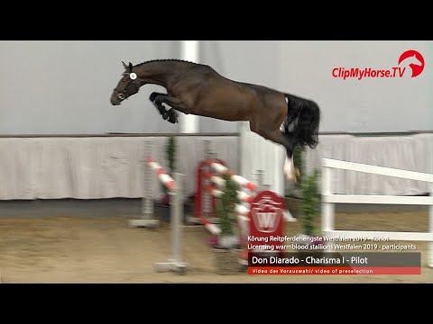 Hengst v. Don Diarado - Charisma I - Pilot