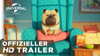 Pets Film Trailer