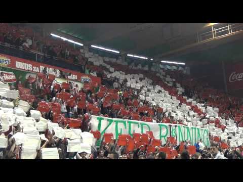 Crvena zvezda - Panatinaikos (69:68) - Koreografija Delija - Zeleni zečevi!