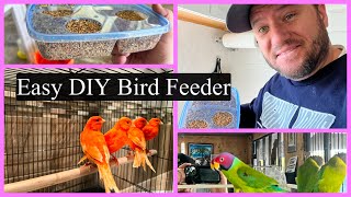 Easiest DIY feeder for your birds