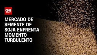 Conexão Agro: mercado de semente de soja enfrenta momento turbulento