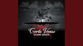 Cover art for la mejor de todas