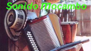 CUMBIA COQUETA -PONCHO ZAMUDIO