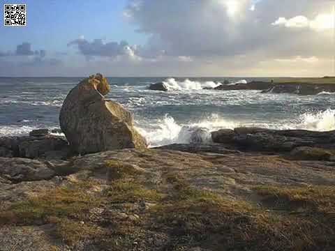 L’ île de tes bras.