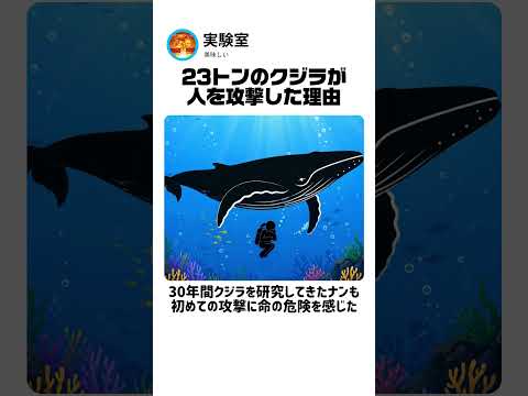 30年間の研究人生で初めて経験したクジラの脅威