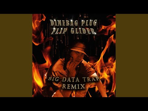 Big Data Trap (Flip Glider Remix)