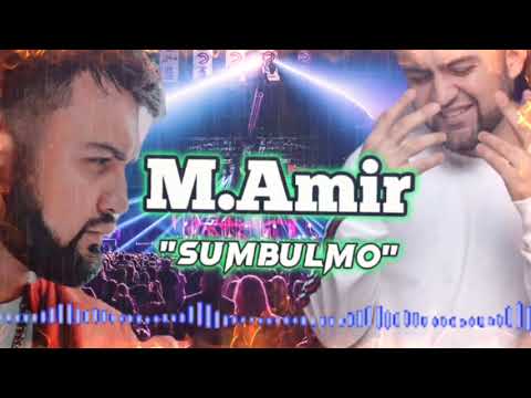 М.Амир песня "Сумбулмо" /2024 / M.Amir " Sumbulmo" 2024🎶
