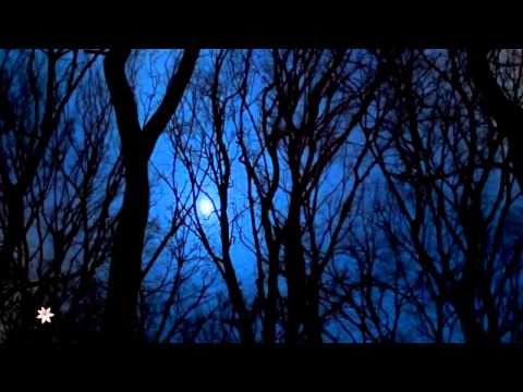 ☆ Slzy - Magnetikum [HD]
