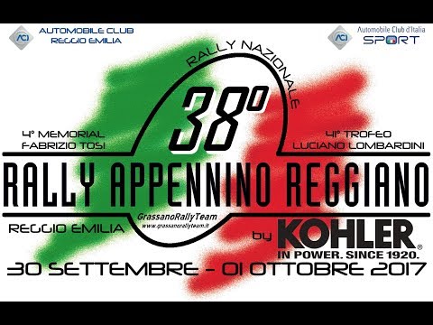 38° RALLY APPENNINO REGGIANO - P.S. 4 - 7 - 8 "BUVOLO"