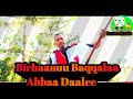 Birhenu Bekele Abbaa Daalee News Afaan Oromoo Music 2022 Mp