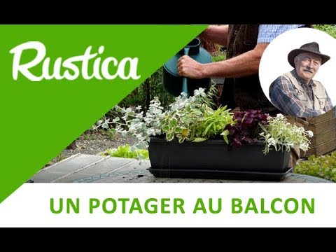 , title : 'Créer une Jardinière de plantes à feuillage décoratif'