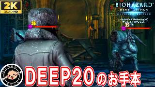 DEEP20のお手本