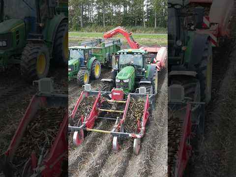 John Deere 6R 185 😎😎 #tractor  #farming #potato #harvest