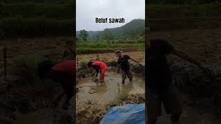 Download lagu rejeki nomplok, belut sawah #belutsawah #fishing #nature mp3 Download lagu rejeki nomplok, belut sawah #belutsawah #fishing #nature mp3