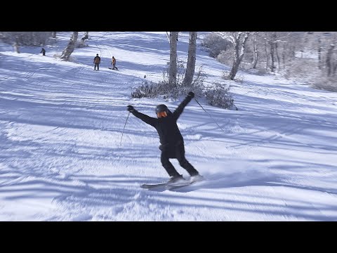気持ちよさそうに雪の感触を楽しむ！野沢温泉スキー場がオープン