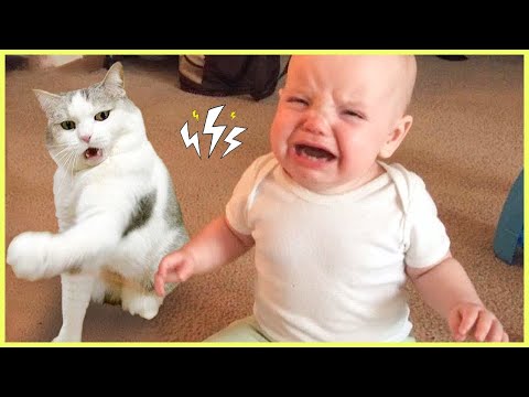 Funniest Baby And Cat Are Best Friends || Tiny Wonders