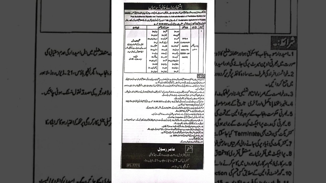 Agriculture Department Punjab Jobs 2024 | Post Surveillance Squad Recruitment