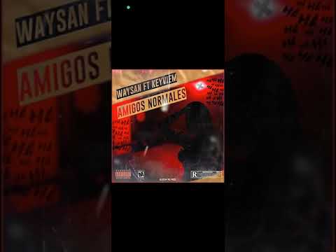 Waysan ft Keyviem - Amigos Normales ( Audio Oficial )