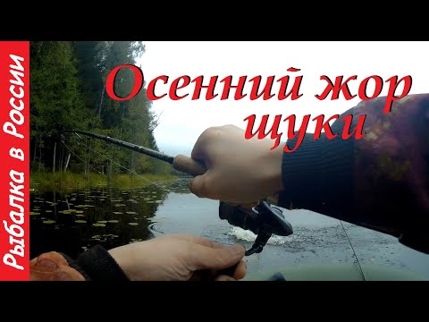 Ловля щуки на воблеры Shad и Минноу. Лучший воблер на щуку.