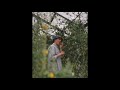 Lukas Pilkauskas - Sodų Dainos