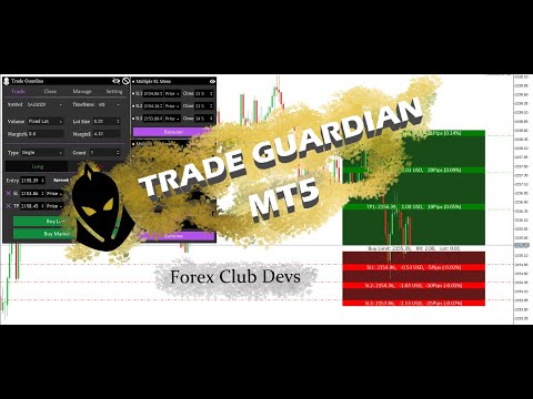 Video Trade Guardian MT5