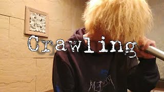 Linkin Park / Crawling cover by airitsu 歌詞 日本語訳付 lyrics HQ【歌ってみた】
