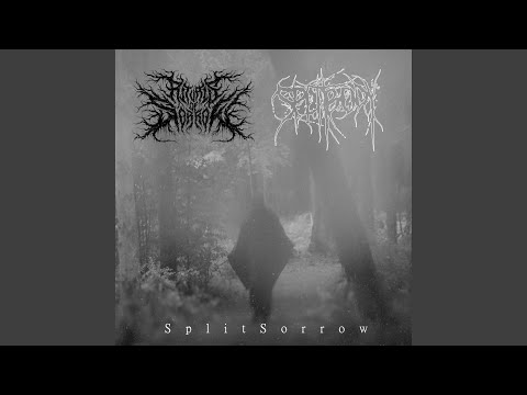 Hex (feat. Splitbody)