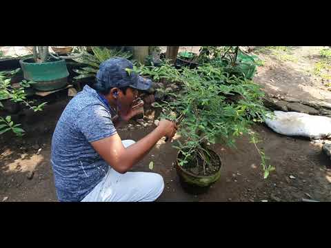 September 1, 2019(13)