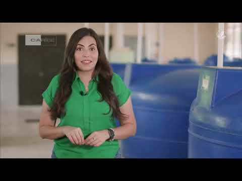 Ciencia y sostenibilidad: los aportes del centro matancero a la agricultura cubana