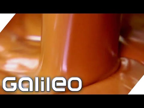 The Long Journey of Chocolate | Galileo | ProSieben