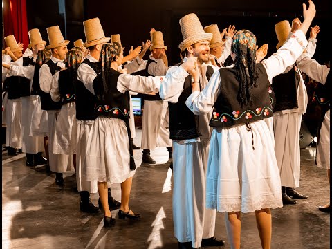 Ansamblul Folcloric Românașul - Aniversare 50 de ani - Tablou Codru