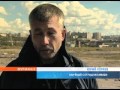 Птенцы учатся летать 