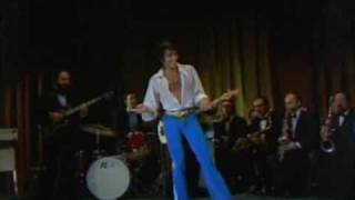 Sandro - Mi amigo El puma