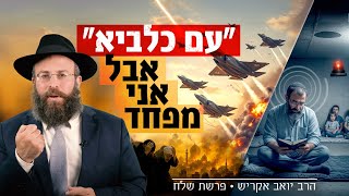 "עם כלביא" – אז למה הפחד שולט בי? שיעור שמחזיר את הרוגע | פרשת שלח (הרב יואב אקריש) - התמונה מוצגת ישירות מתוך אתר האינטרנט יוטיוב. זכויות היוצרים בתמונה שייכות ליוצרה. קישור קרדיט למקור התוכן נמצא בתוך דף הסרטון
