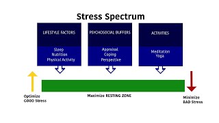 Stress and Our Immune Systems
