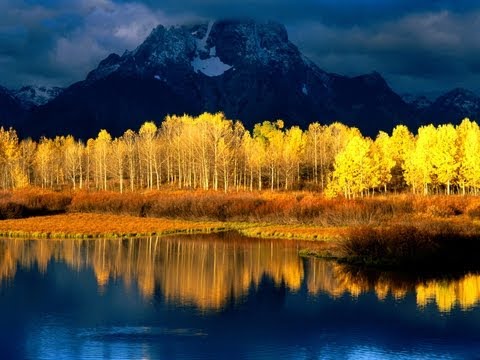 "When The Aspens Turn To Gold" by Gordy Thomas