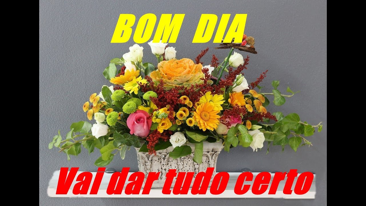 Watch Now BOM DIA - VAI DAR TUDO CERTO BOM DIA - VAI DAR TUDO CERTO
