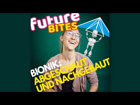 Bionik einfach erklärt – Erfindungen aus der Natur