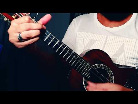 Amor - Sociedade do Samba