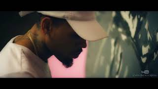 Chris Brown   Without You Royalty Music Video