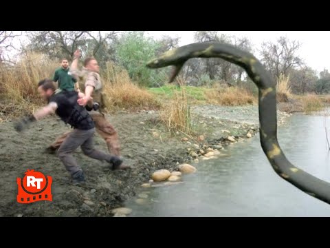 Zoombies 2 (2019) - Zombie Anaconda Scene | Movieclips