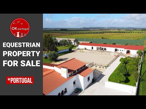 Beautiful Equestrian Property for Sale 🐴❤️😍 Golega, Portugal - Walkthrough Tour