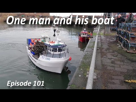 Evolution Episode 101