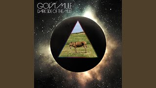 Shine on You Crazy Diamond, Pts. 6 - 9