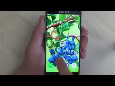 Berries Live Wallpaper Video
