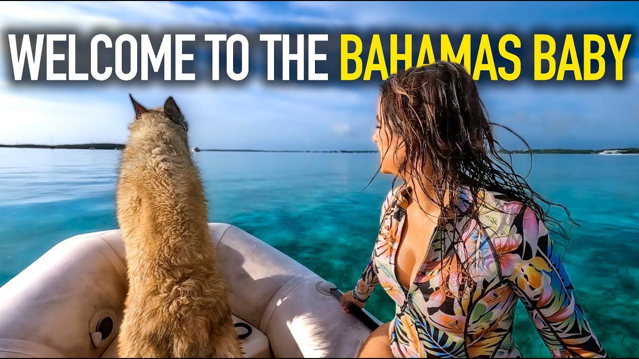 WELCOME TO PARADISE! | SAILING SUNDAY | Ep.217