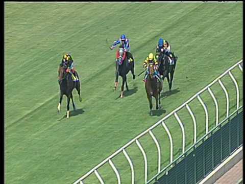 Galoppo 23/06/2017 - 1ª corsa